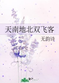 天南地北双飞客