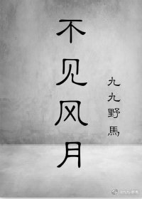 不见风月