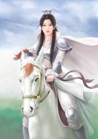 掠天记