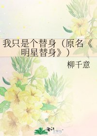 明星替身